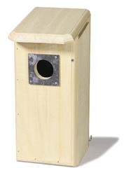 Woodpecker House